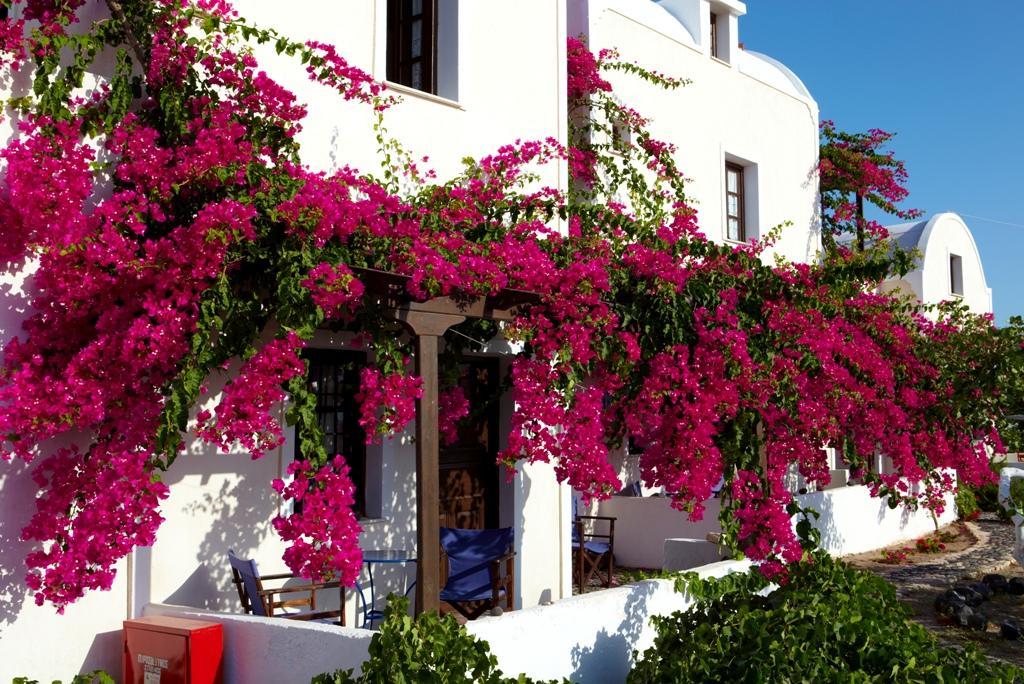 Anna Traditional Apartments Kamári Екстериор снимка