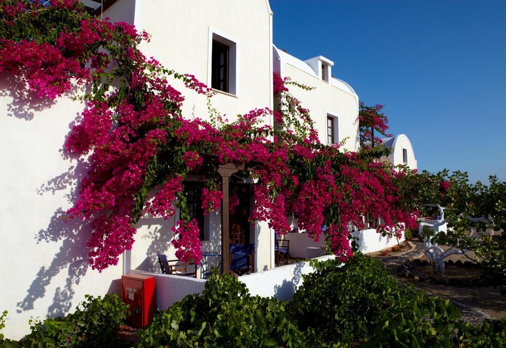 Anna Traditional Apartments Kamári Екстериор снимка